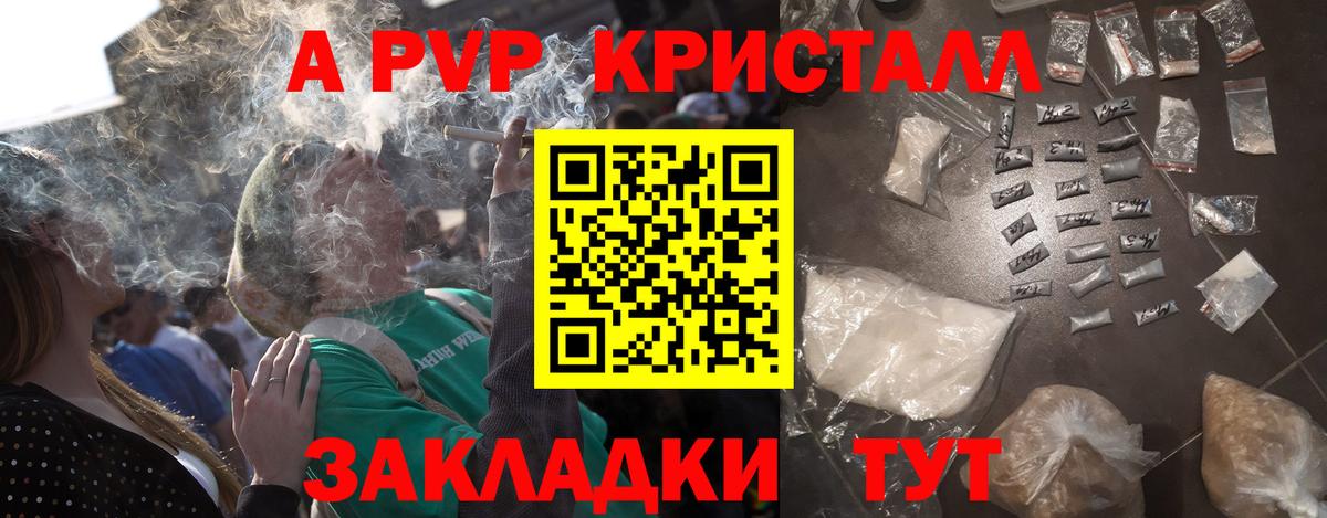 Alfa_PVP СК КРИС Сыктывкар