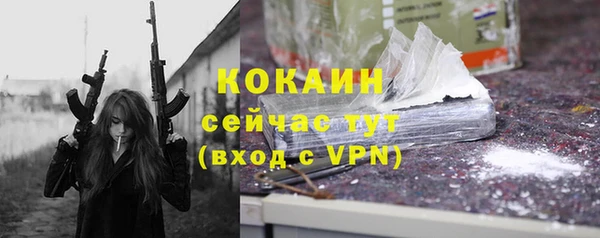 эйфоретик Арсеньев