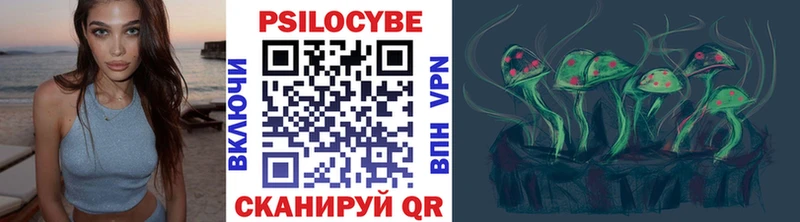 Псилоцибиновые грибы Psilocybe  Сыктывкар 