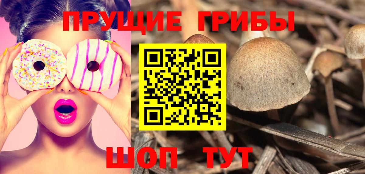 Псилоцибиновые грибы GOLDEN TEACHER Сыктывкар