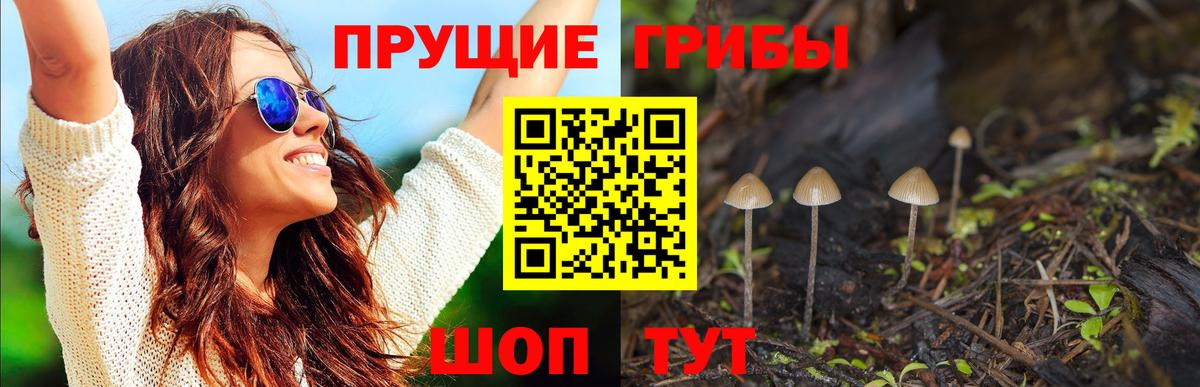 Псилоцибиновые грибы мицелий  Вход с VPN  Сыктывкар 