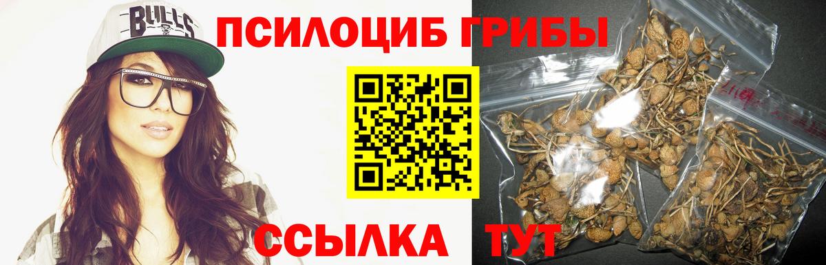 Псилоцибиновые грибы GOLDEN TEACHER  Сыктывкар 