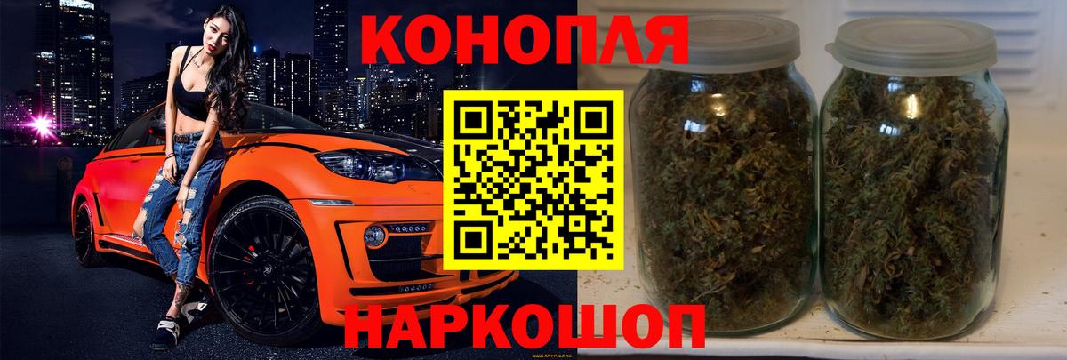 Конопля OG Kush Сыктывкар